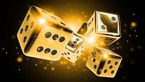 karikya লটারি তথ্য